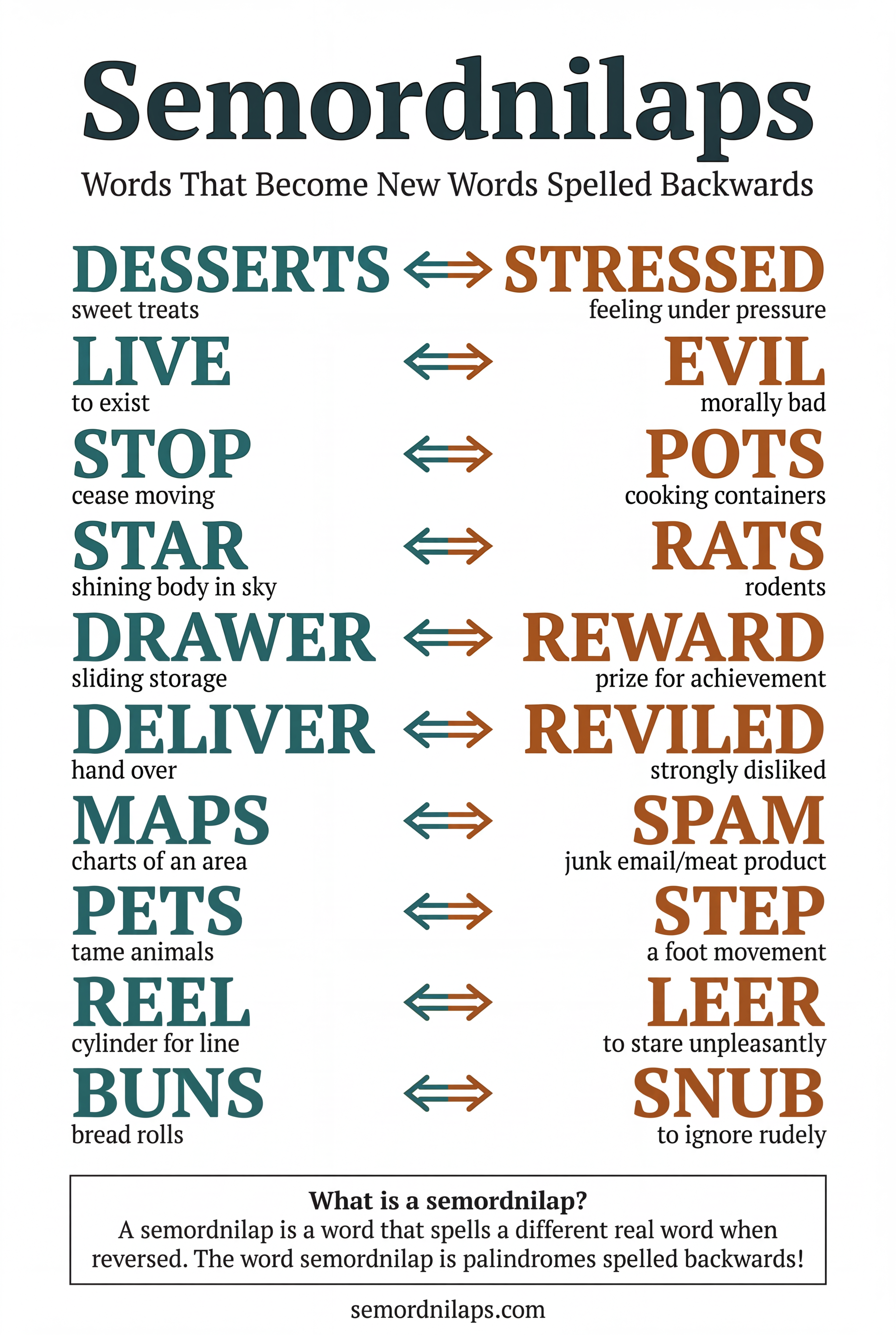 Semordnilap classroom wall poster preview